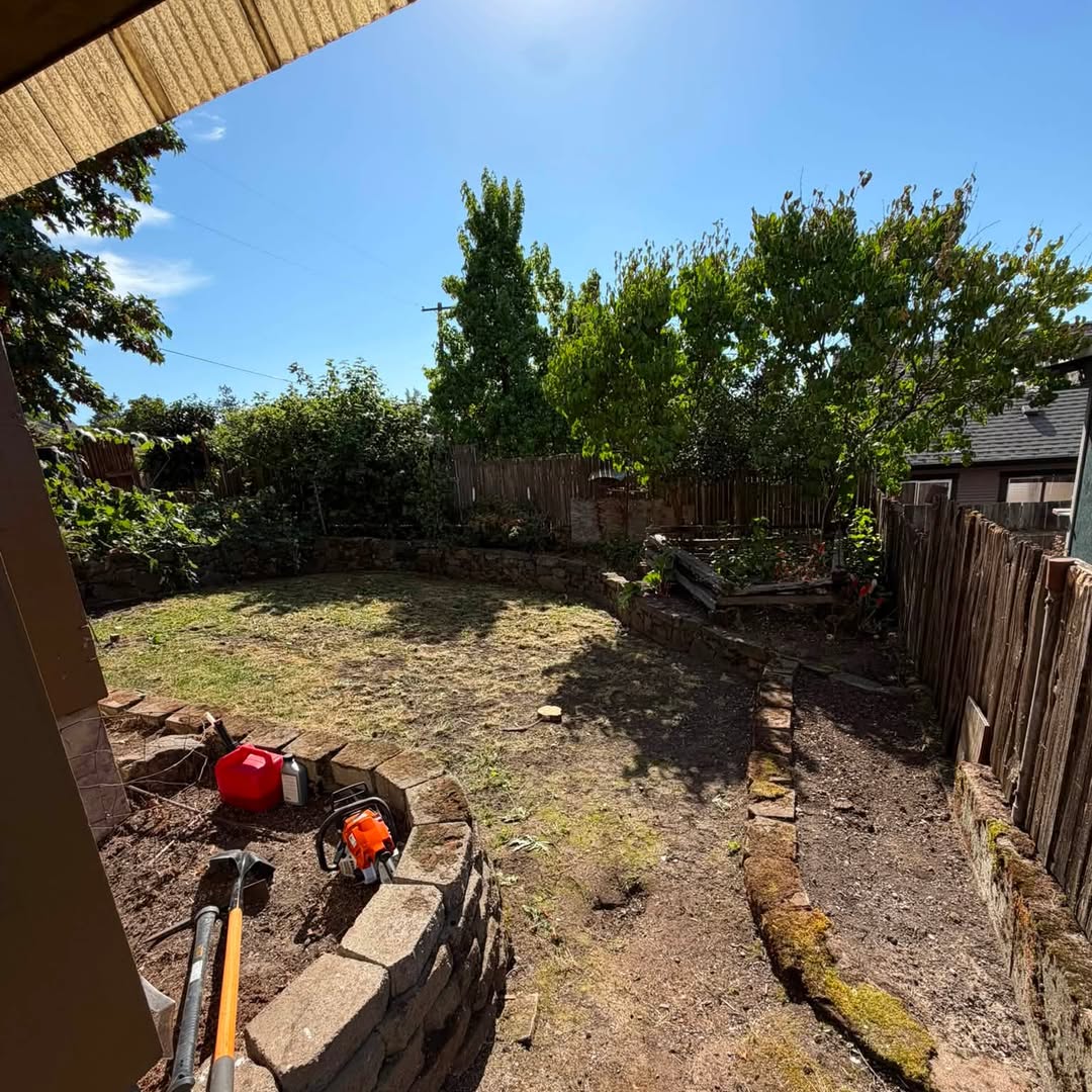 Backyard job with a chainsaw, gas can, and tools on a stone wall